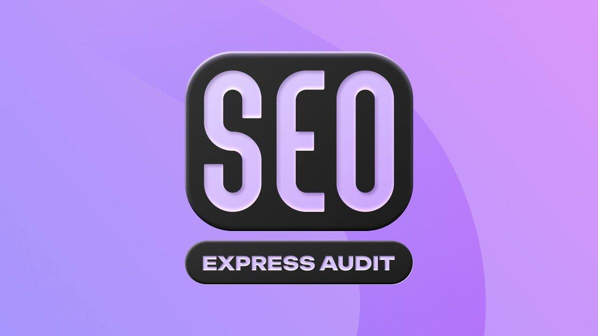 SEO Audit preview